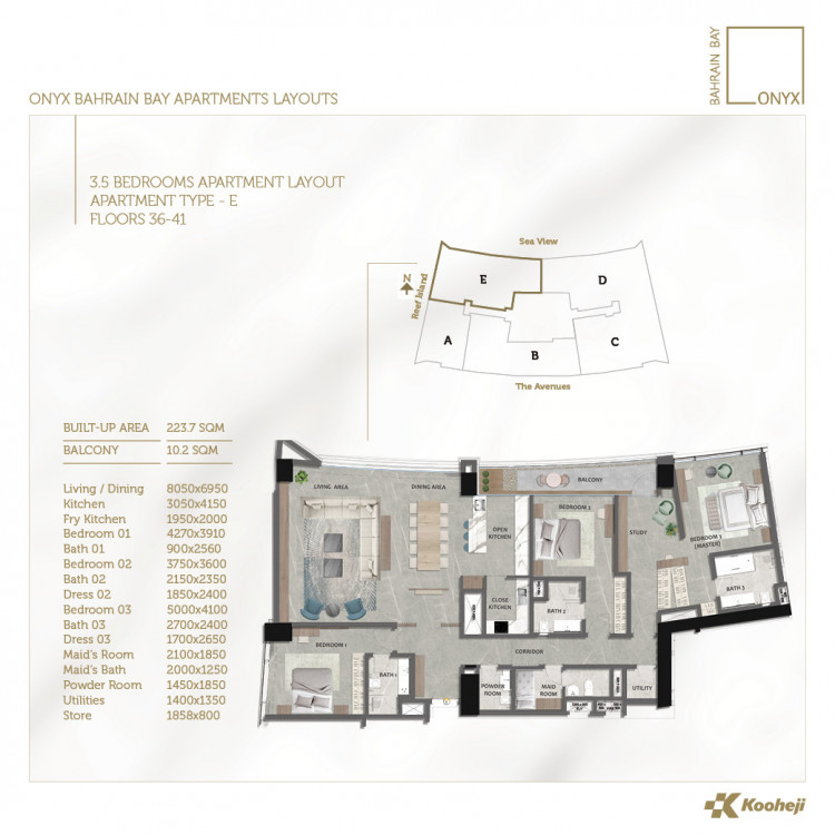 Apartment Layout31